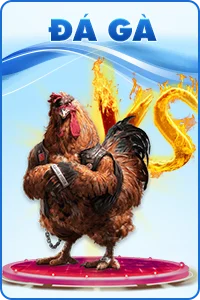 8XBET 43 Đá gà